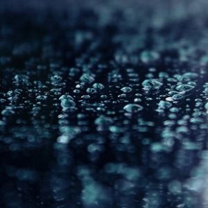 Meet your Posher, Layla